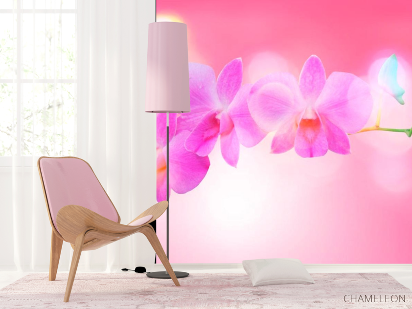 Фотошпалери Блідо-рожеві квіти - 4