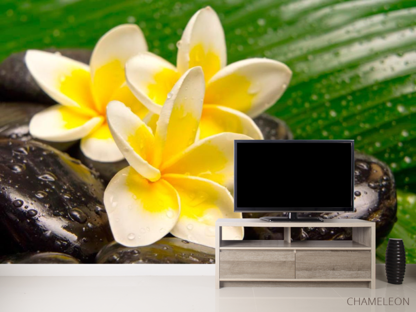 Фотообои Цветы, камни, роса - 2