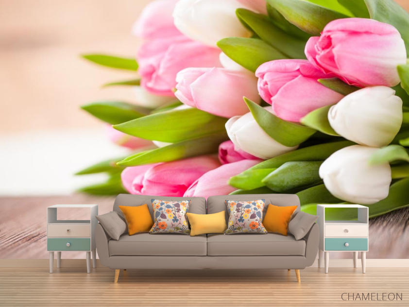 Фотообои белые и розовые тюльпаны - 1