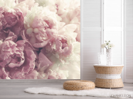 Фотошпалери Рожеві півонії - 2