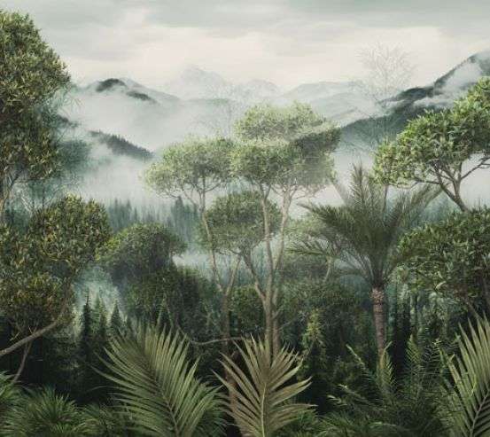 Фотообои Туманные тропики Фотообои Туманные тропики 33892