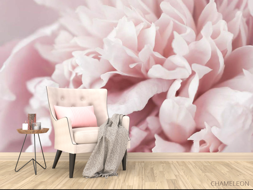 Фотообои Пион макро - 4