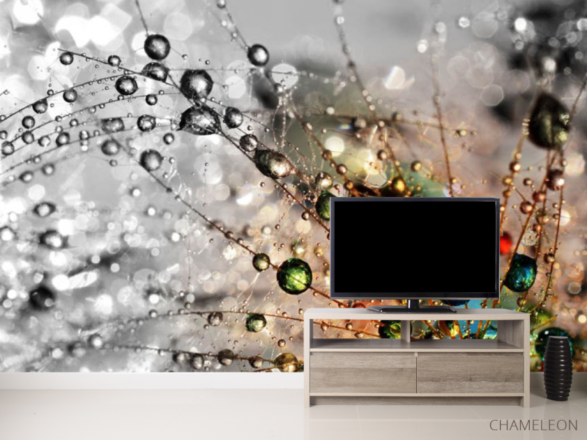 Фотообои Одуванчик с росой - 2