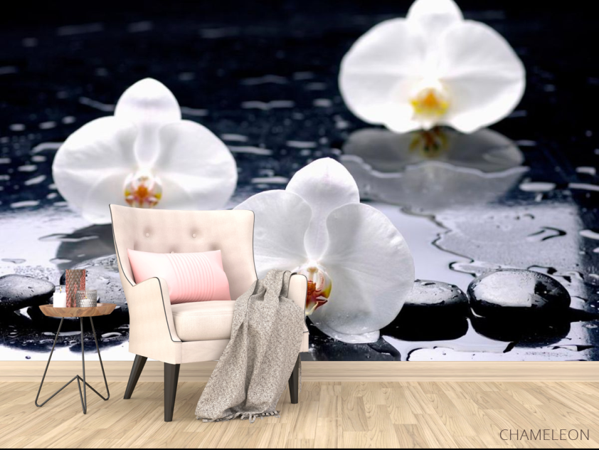 Фотообои Орхидеи на черных камнях - 4