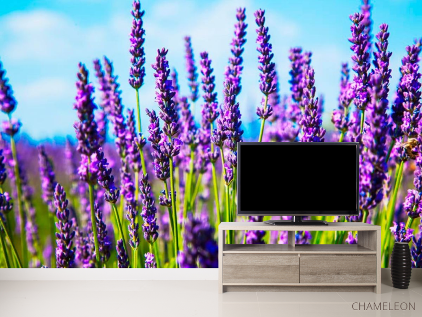 Фотообои Цветы - 2