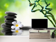 Фотообои Веточки, камни, цветок - 2