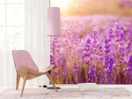 Фотошпалери поле квіточок - 4