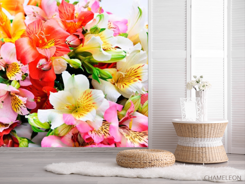 Фотошпалери Квітник - 2