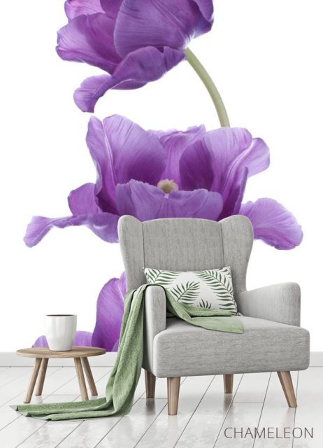 Фотообои фиолетовые тюльпаны - 3