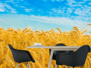 Фотошпалери Пшениця - 1