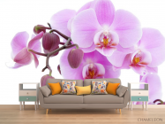 Фотообои сиреневая орхидея - 1