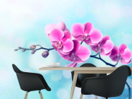 Фотошпалери Малинове квітуче дерево - 1