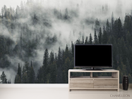 Фотообои Туманный лес - 2