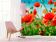 Фотошпалери Маки в літньому полі - 4