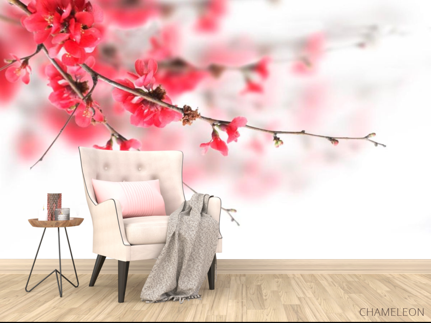 Фотообои Красное цветущее дерево - 4
