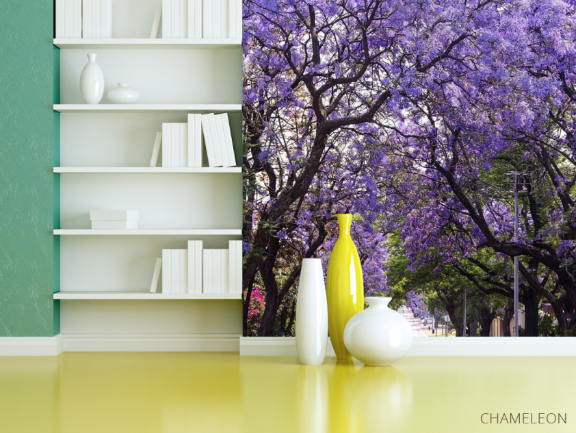 Фотошпалери алея з синіми деревами - 3