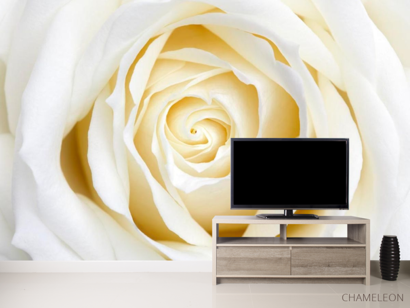 Фотообои Бежево-белая розочка - 2