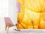 Фотошпалери помаранчевий кульбаба - 4