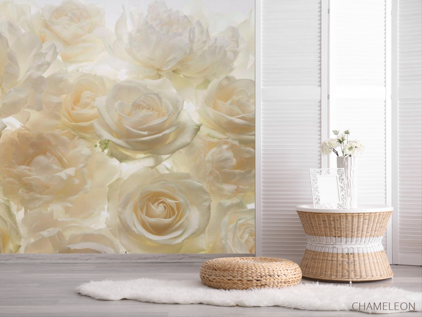 Фотошпалери Троянди - 2