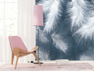 Фотошпалери пір'я - 4