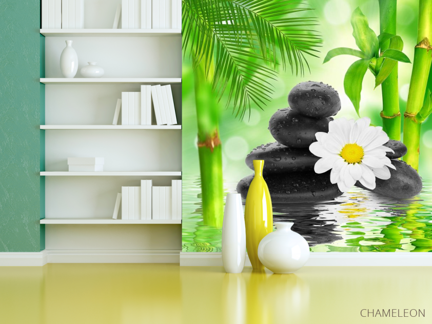 Фотообои ромашка на камнях - 3