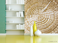 Фотошпалери Золотий зріз дерева - 3