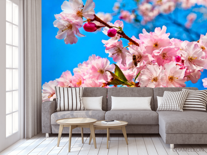 Фотообои Соцветия шиповника - 3