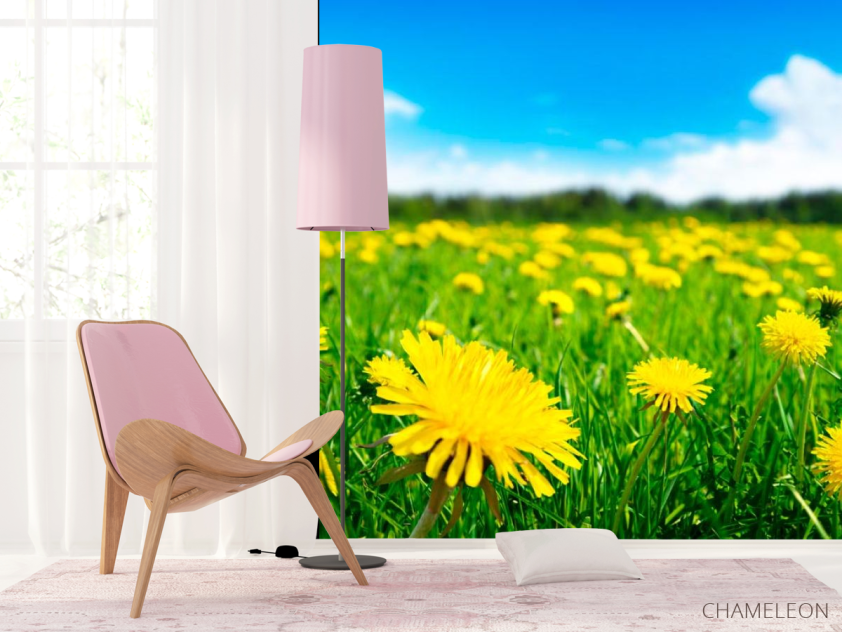 Фотошпалери Одуванчиковое полі - 4