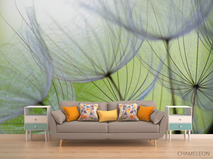 Фотообои одуванчики - 1