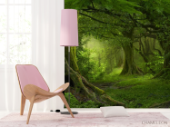 Фотошпалери зелений ліс - 4