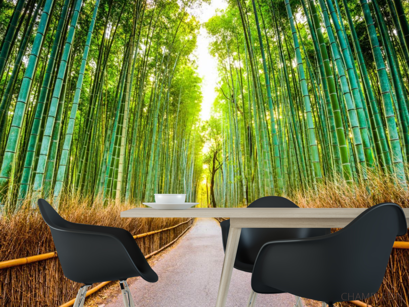 Фотошпалери Бамбуковий гай - 1