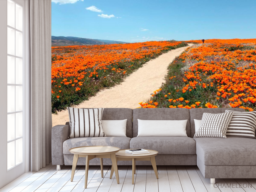 Фотообои Тропинка, мак - 3