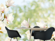 Фотошпалери Квіти магнолії - 1