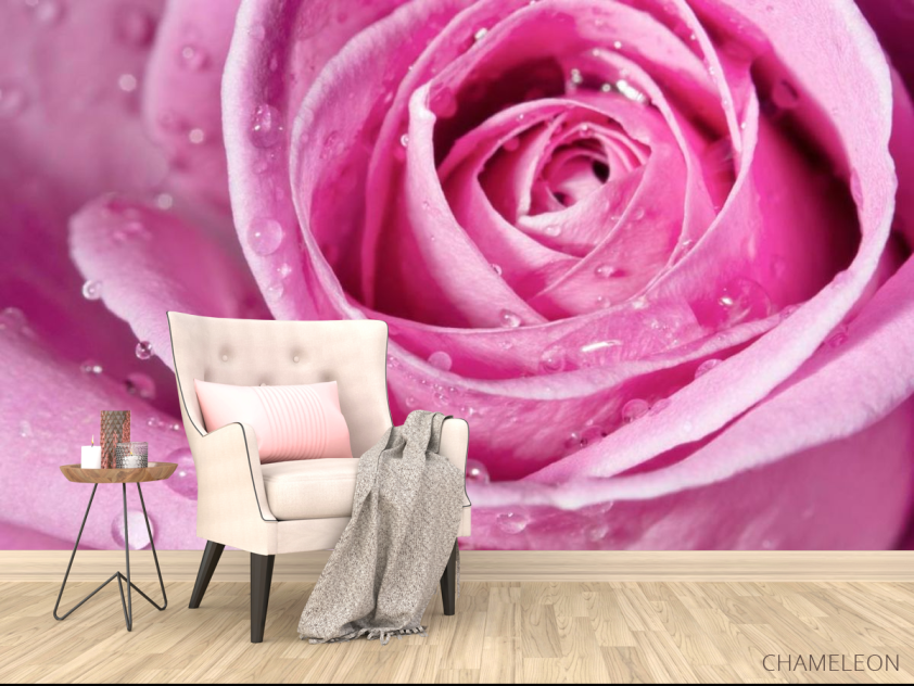 Фотообои Роса на розе - 4