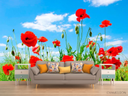 Фотообои Маки в степи - 1