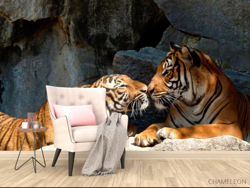 Фотообои Нежность тигров - 4