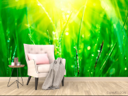 Фотообои На траве роса - 4