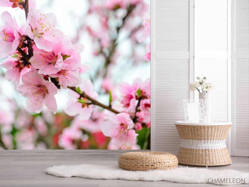 Фотошпалери рожева сакура - 2