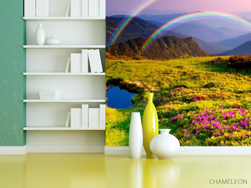 Фотошпалери Кольорове поле, веселка - 3