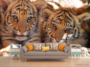 Фотообои Тигрята - 1