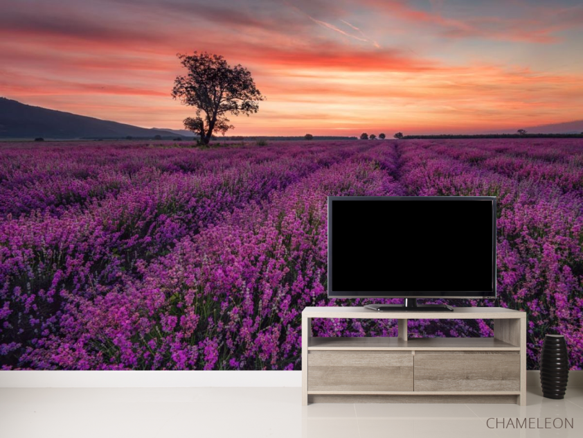 Фотообои сиреневое поле и розовый закат - 2