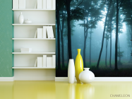 Фотошпалери туманний ліс - 3