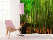 Фотошпалери Бамбук, стежка - 4