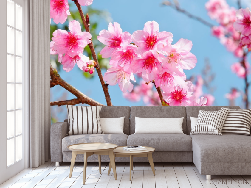 Фотообои яркие розовые цветочки на дереве - 3