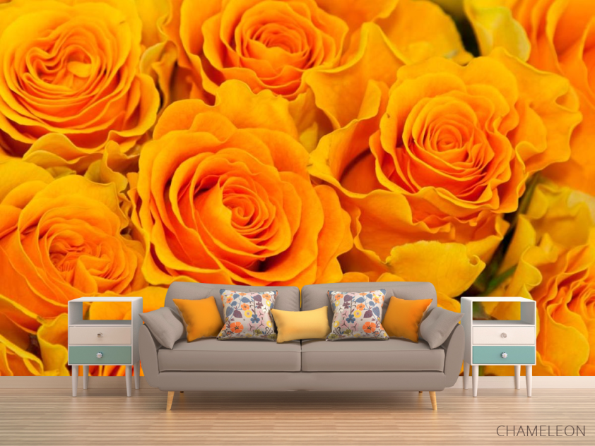 Фотообои Розы желтого оттенка - 1