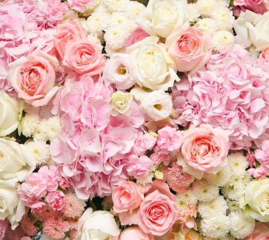 Фотошпалери ніжні біло-рожеві квіти 20964