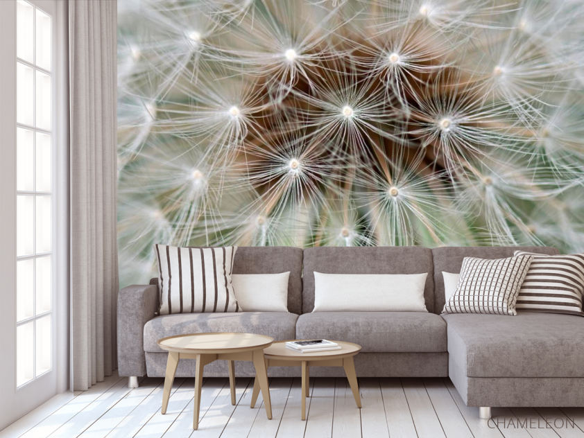 Фотообои Одуванчик - 3