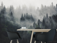 Фотошпалери Туманний ліс - 1