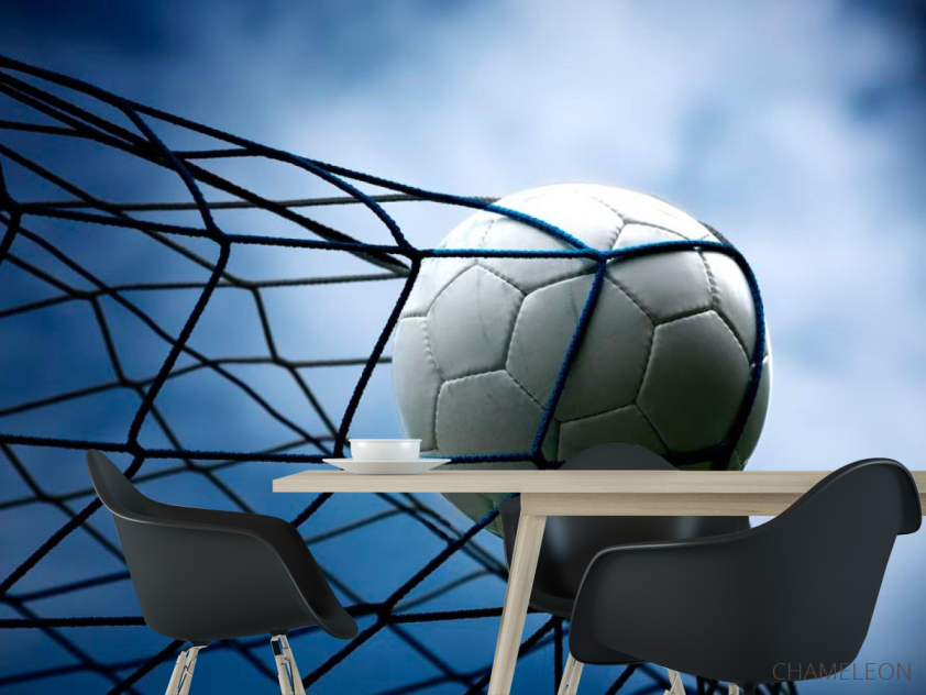 Фотошпалери М'яч у сітці - 1