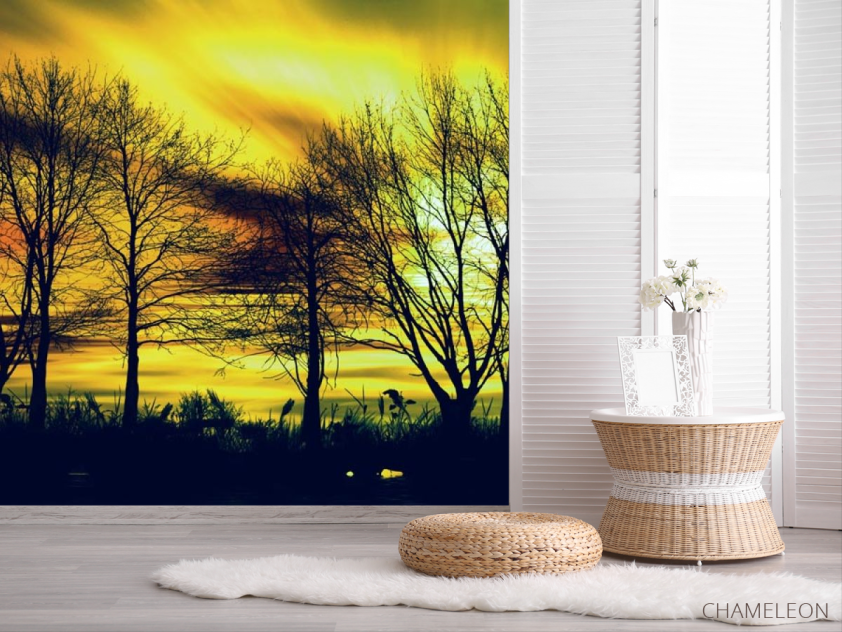 Фотошпалери жовте небо за деревами - 2